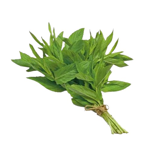 VVF MINT 70G