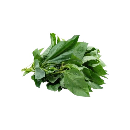 VVF GREEN MLOKHEYE 500G