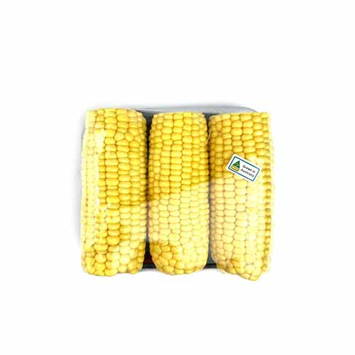 VVF PEELED SWEET CORN PACK
