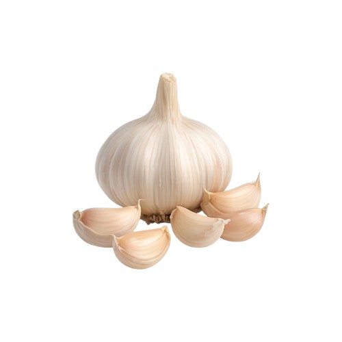 FC LARGE GARLIC KG