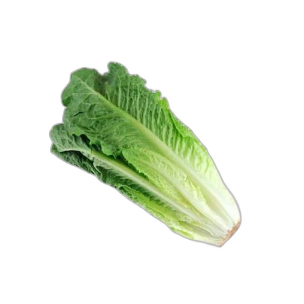 ENP LETTUCE 250G