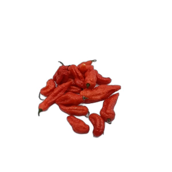 PEPPER NAGA JOLOKIA RED