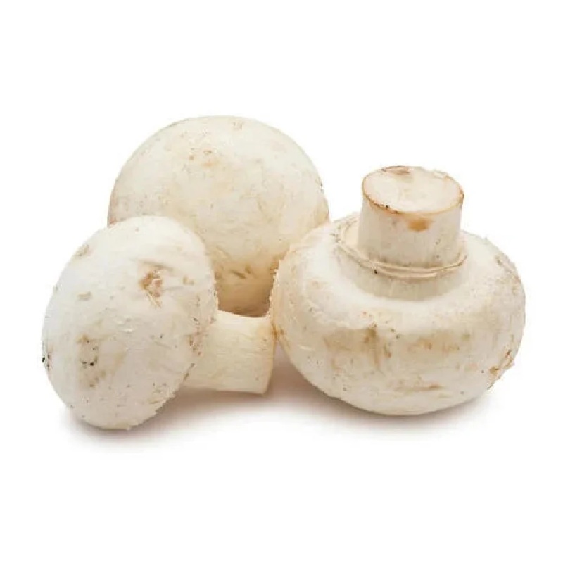 LEB MUSHROOM PACK