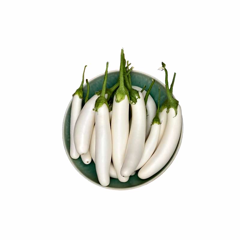 DEMET WHITE AUBERGINE KG