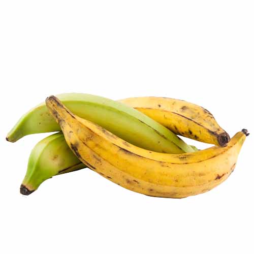 ENP PLANTAIN KG
