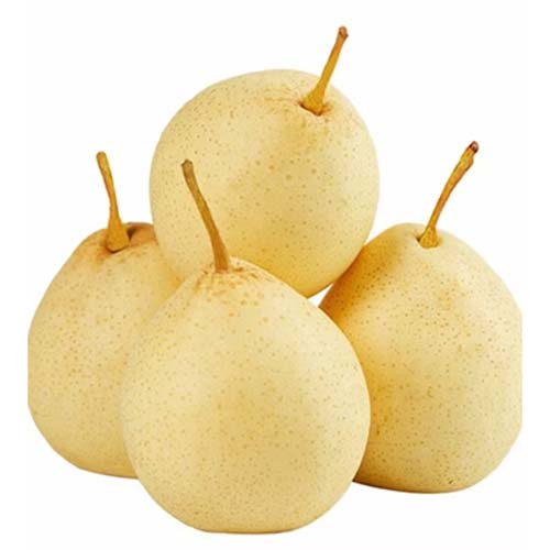 FC CROWN PEAR KG