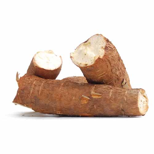 ENP CASSAVA KG