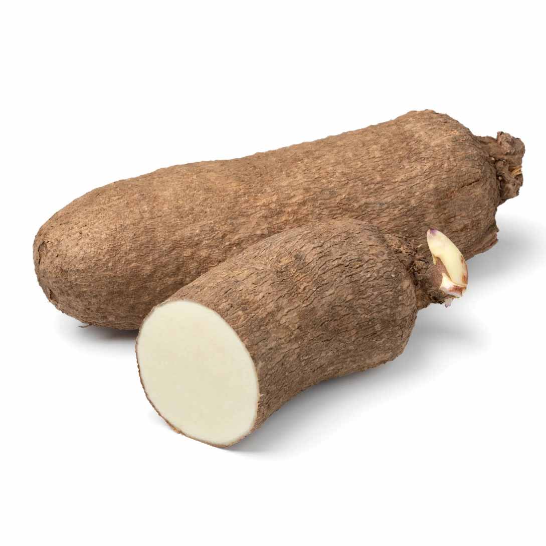 ENP YAM KG