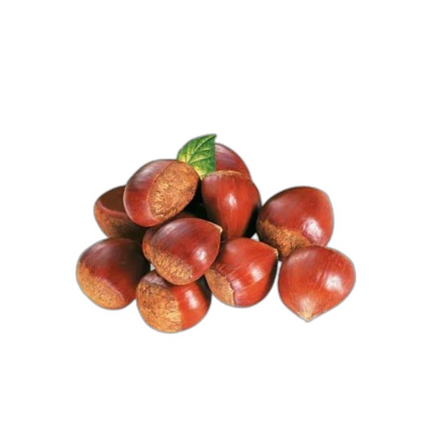 LEB CHESTNUT KG