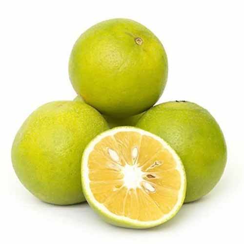 ENP LOCAL ORANGE KG