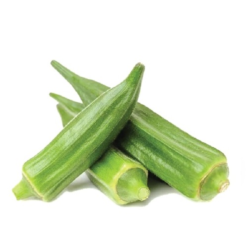 ENP OKRO KG