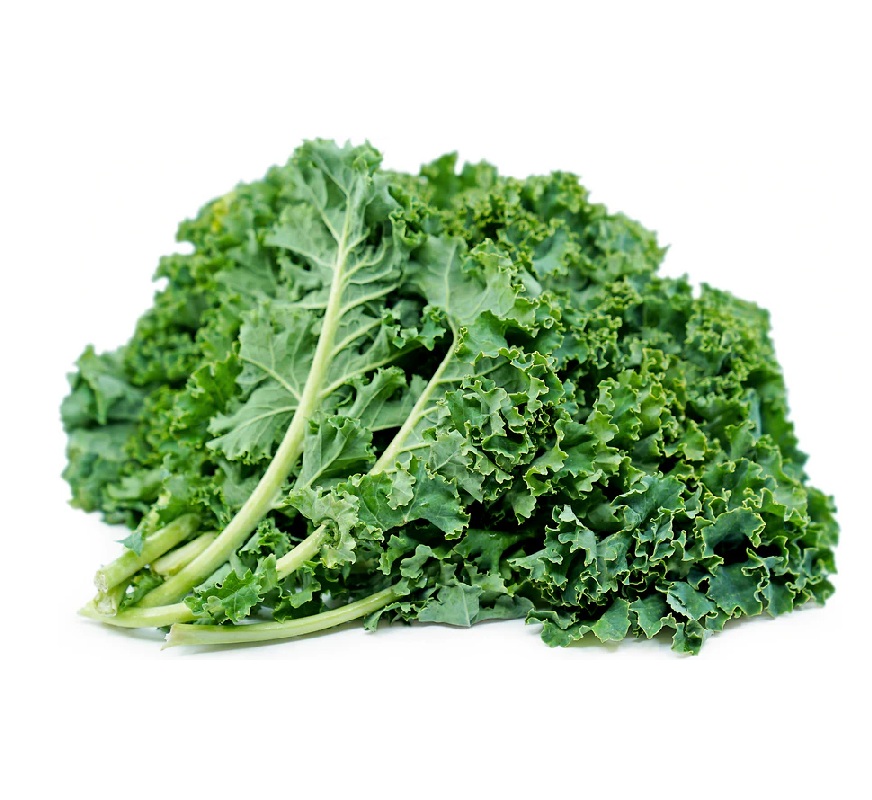 LEB KALE KG