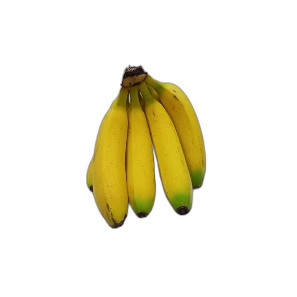 EXPORT BANANA 18CM