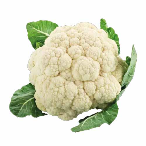 CAULIFLOWER KG