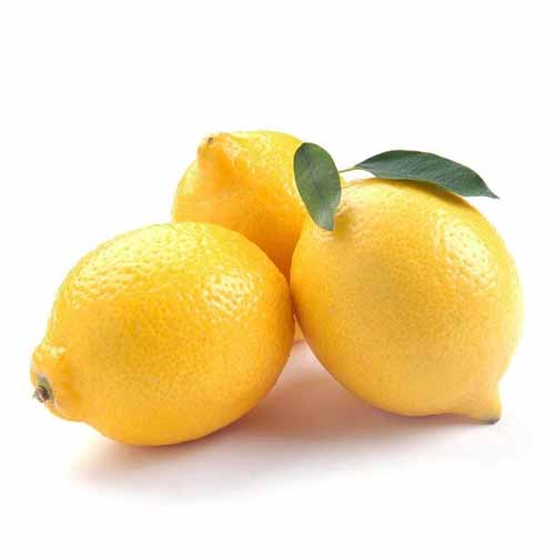 YELLOW LEMON KG VAL
