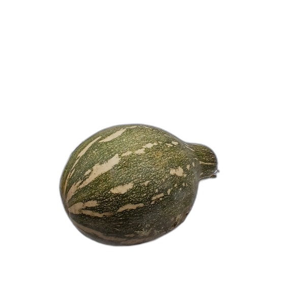 PUMPKIN KG