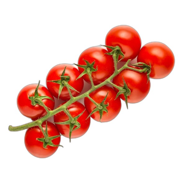LEB TOMATO ON VINE KG