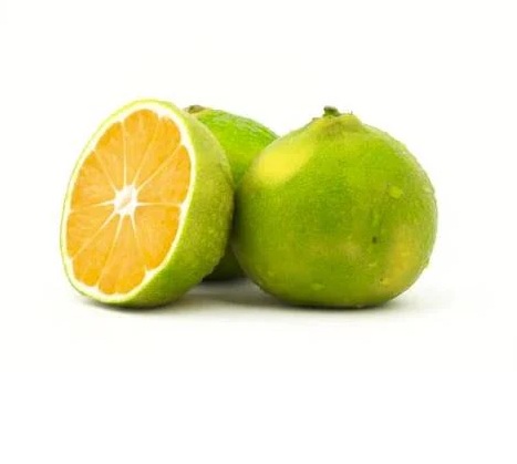LOCAL TANGERINE KG