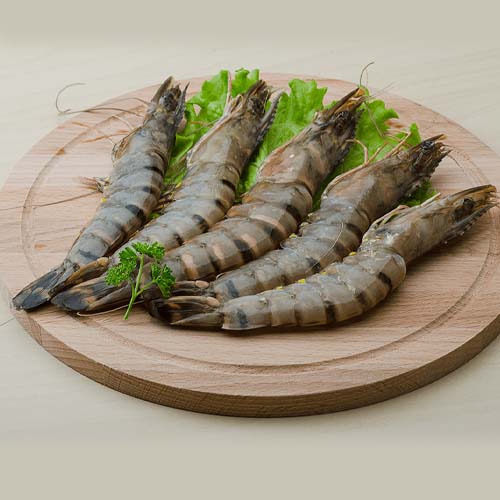 JUMBO SHRIMP KG