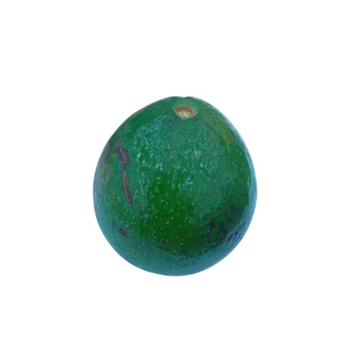 AVOCADO KG