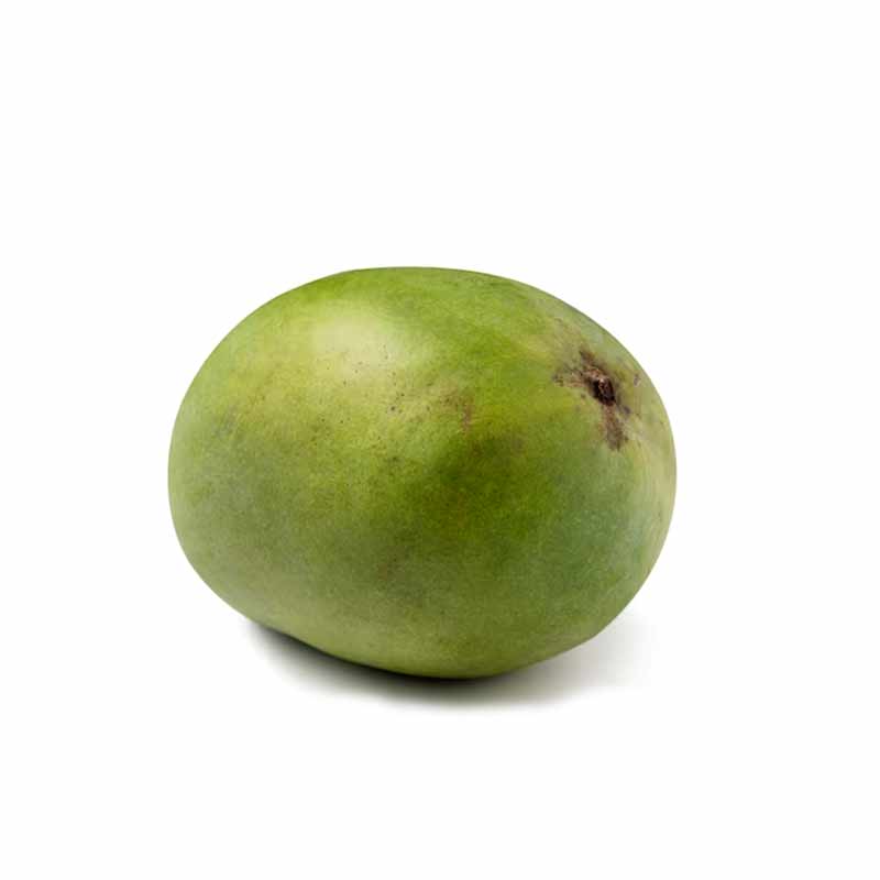 MANGO KG MFF