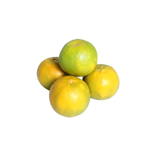2K LOCAL ORANGE KG