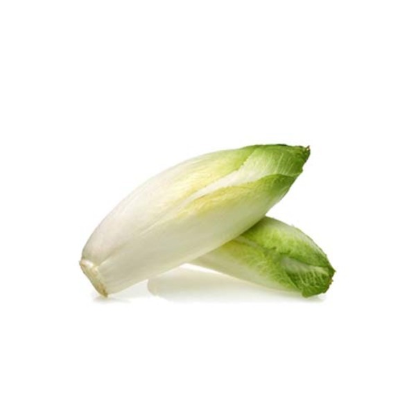 WHITE CHICORY 5KG