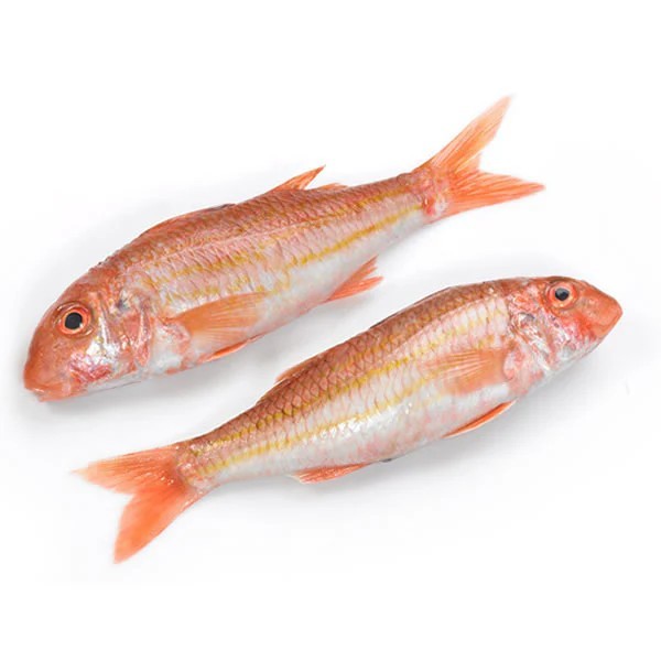 RED MULLET FISH KG