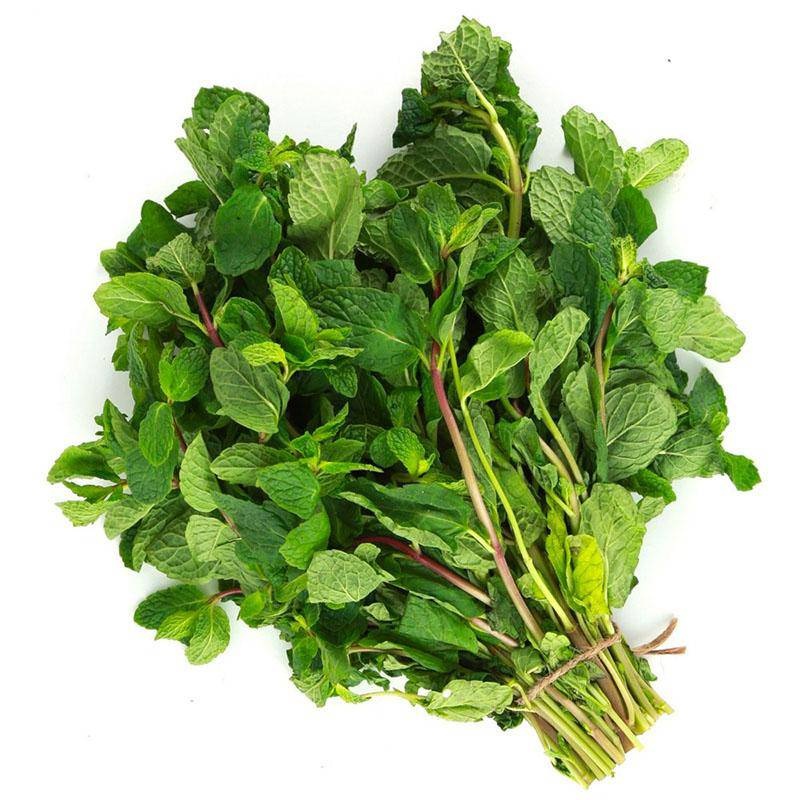 LEB MINT