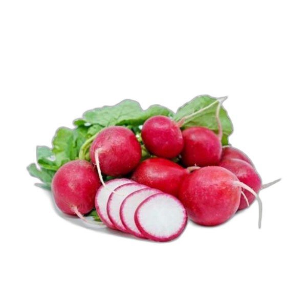 LEB RADISH