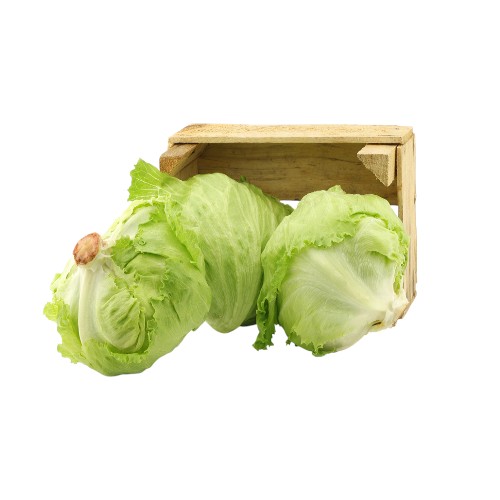 LEB ICEBERG LETTUCE