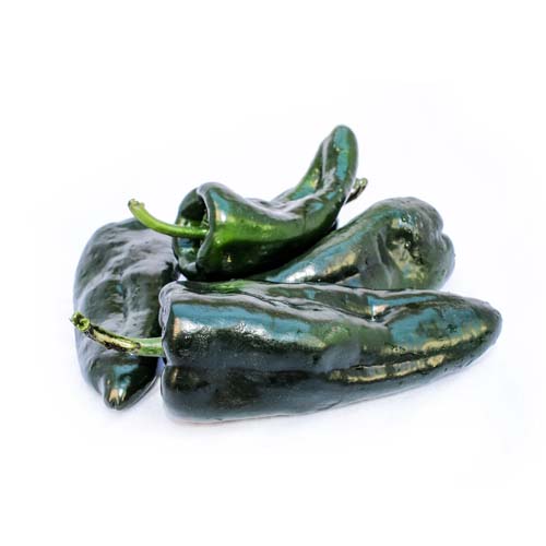 GREEN POBLANO CHILLI