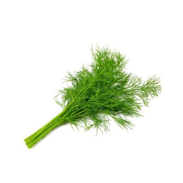 DILL PUNNET