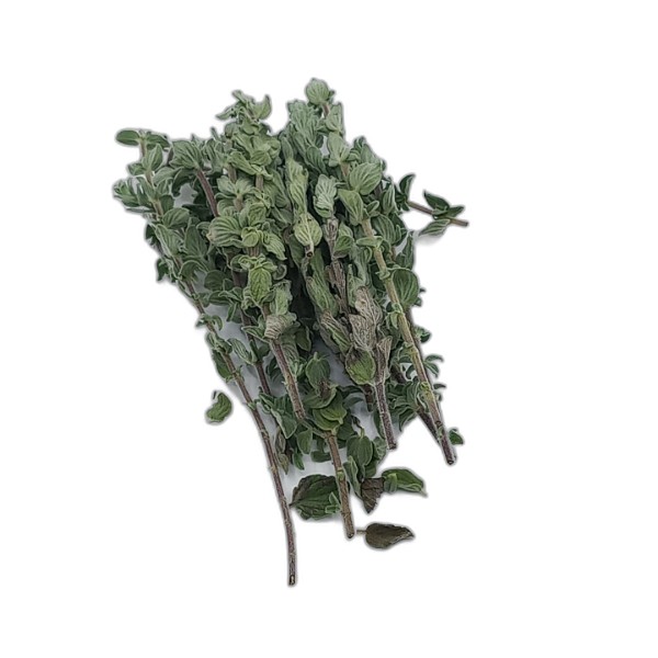 OREGANO PUNNET