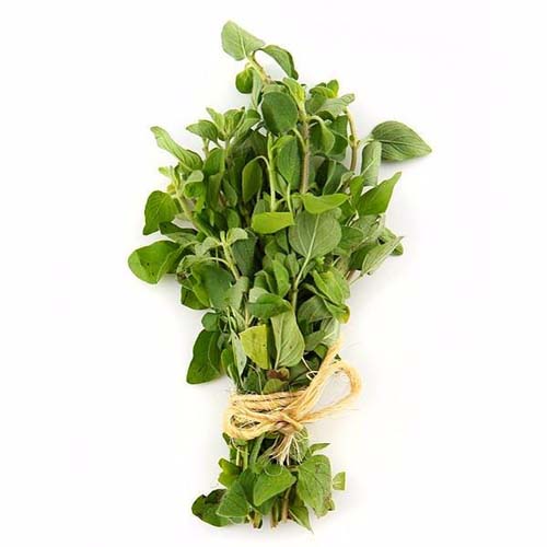 OREGANO BUNDLE