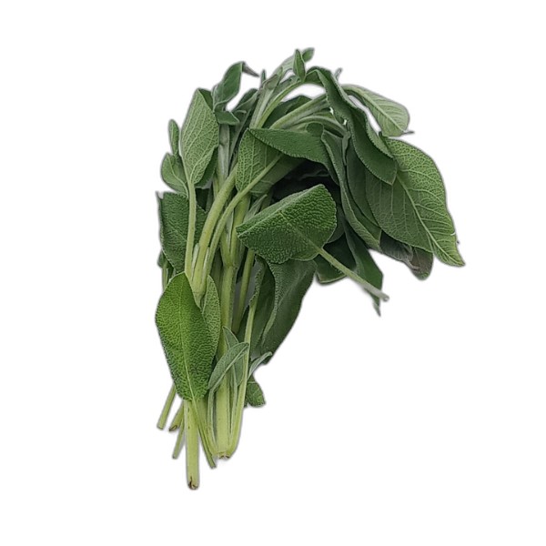 SAGE PUNNET