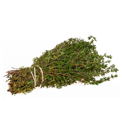 THYME BUNDLE