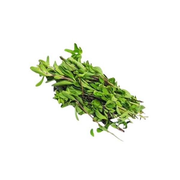 MARJORAM PUNNET