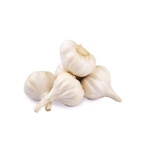 GARLIC KG SUNF