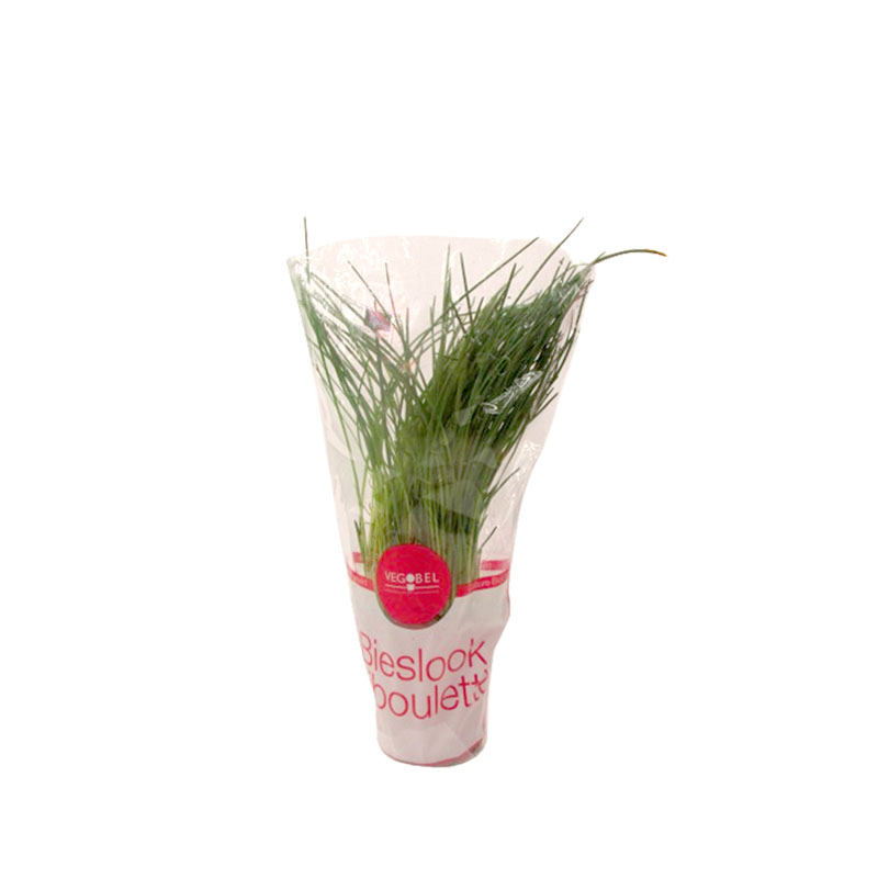 ORGANIC CHIVES POT