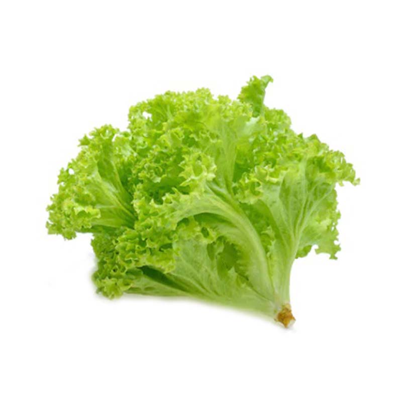 HAPPY HKAF LETTUCE 200G