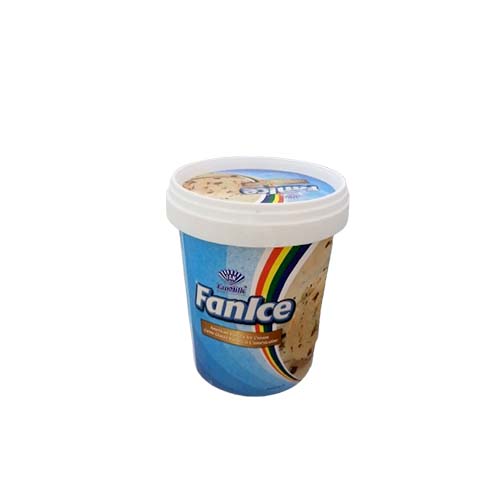 FANICE AMERICAN VANILLA ICE CREAM 500ML