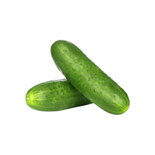 AGPAK LOCAL CUCUMBER 400G