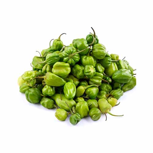 AGPAK HABANERO PEPPER 250G