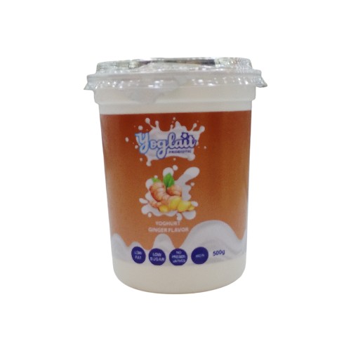 YOGLAIT GINGER YOGHURT 500G