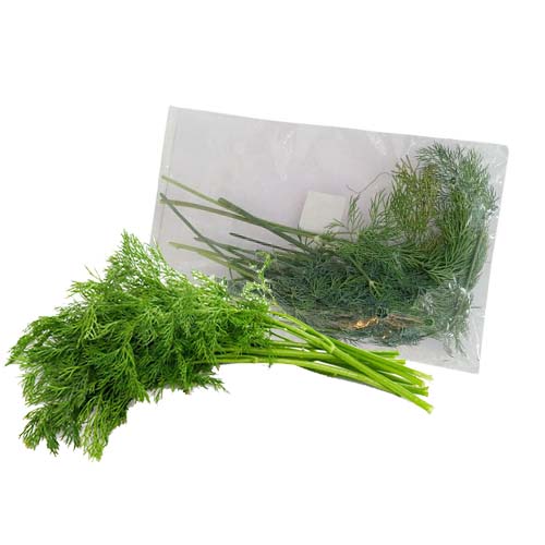 MALF FRESH DILL