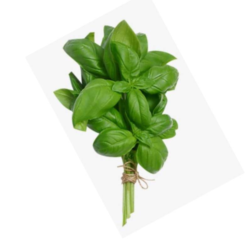 MALF BASIL