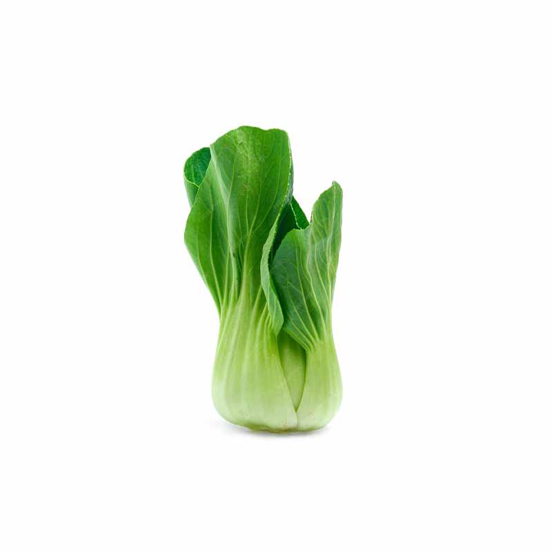 MALF OPICHOI