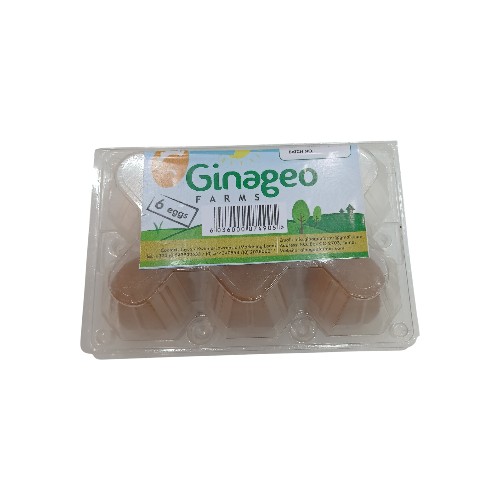 GINAGEO EGGS 6PCS