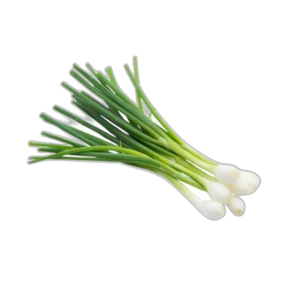 SPARG SPRING ONION